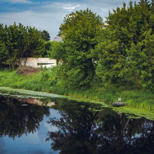 Photo #6276462