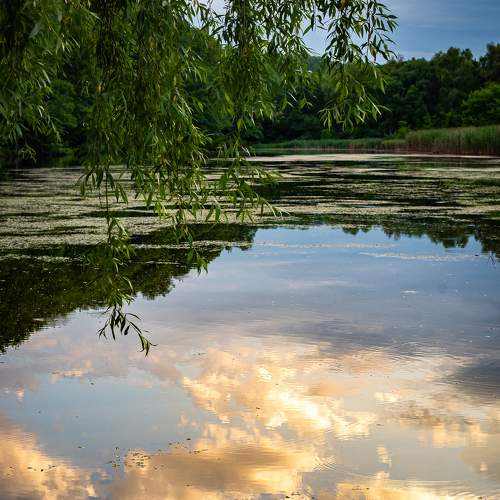 Photo #6276463