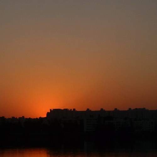 Photo #6276641