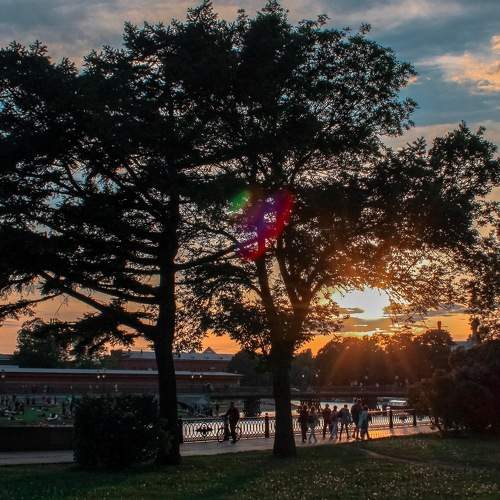 Photo #6276718