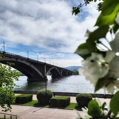 Весна в июне и красавец Енисей