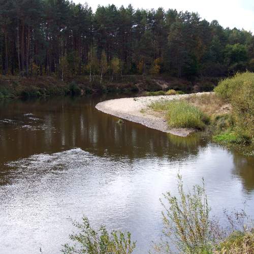 Photo #6277027