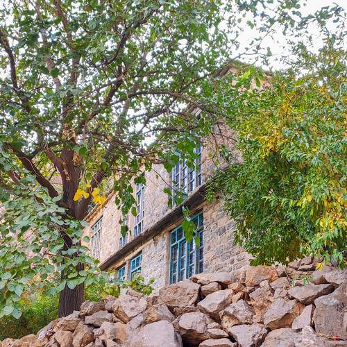 Photo #6277041