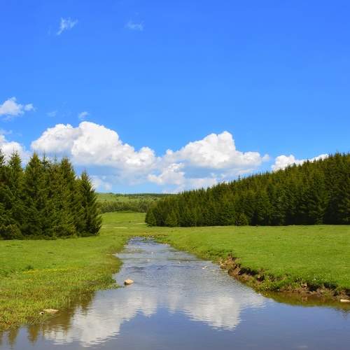 Photo #6277063