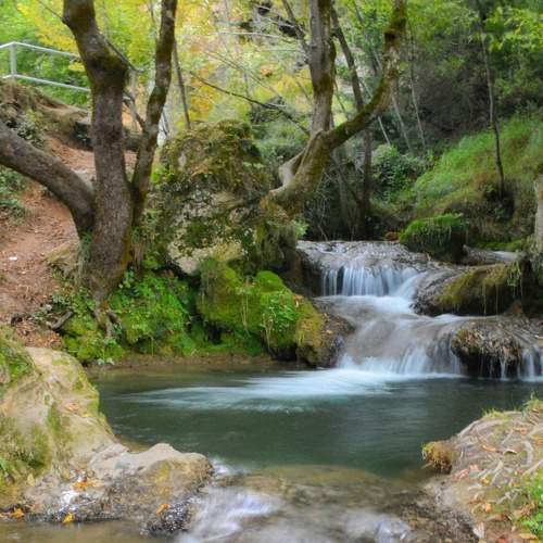 Photo #6277068