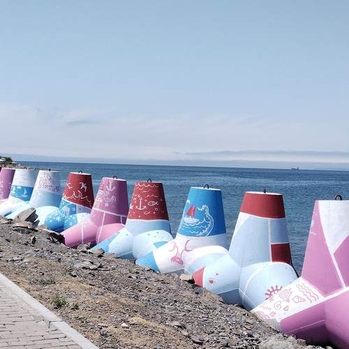 Photo #6277555
