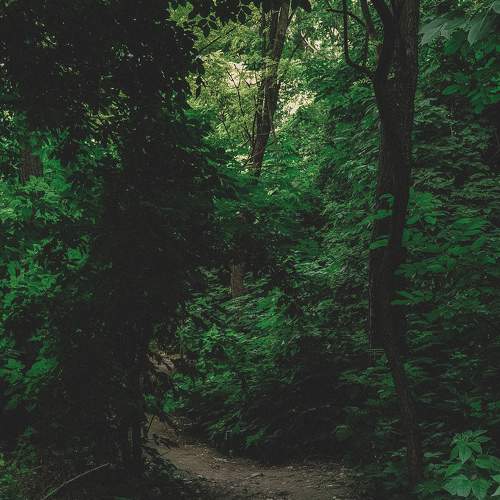 Photo #6277827