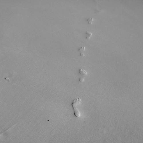 Photo #6277873