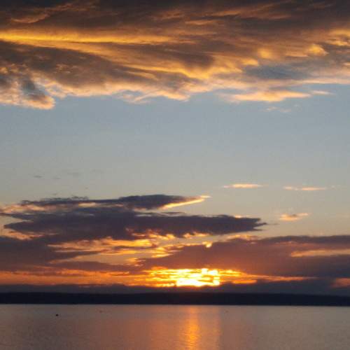 Photo #6278054