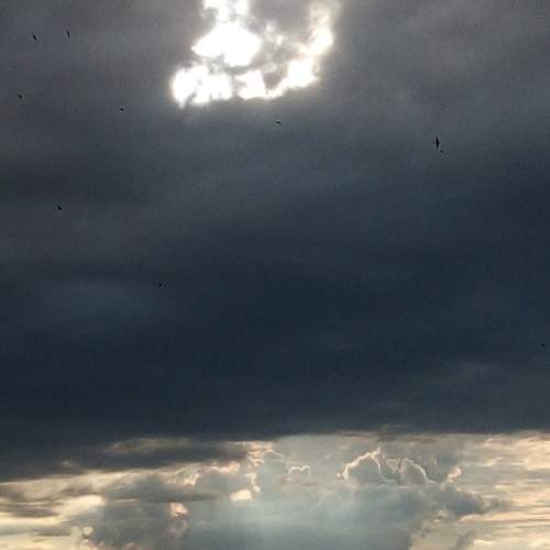 Photo #6278058