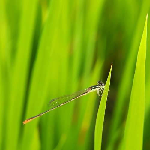 Photo #6278302