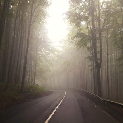 Photo #6278477