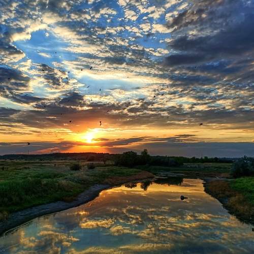 Photo #6278546