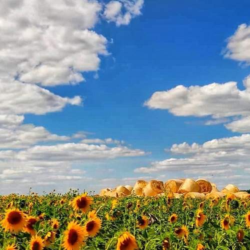 Photo #6278578