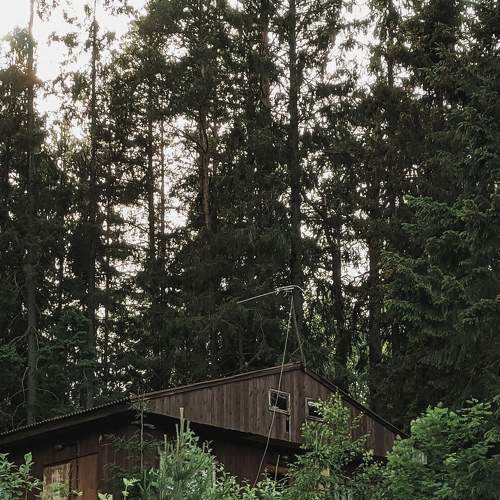 Photo #6278820