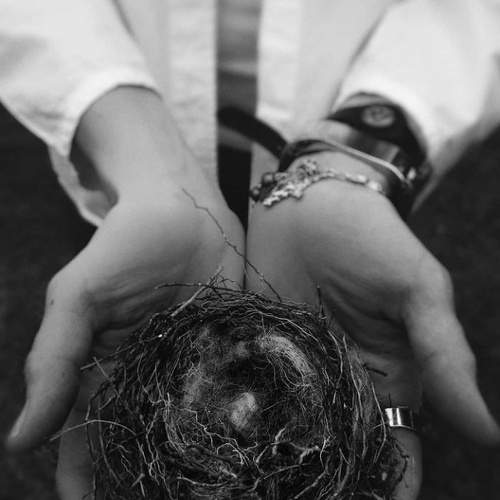 Photo #6279016