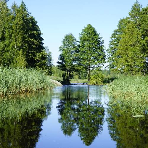Photo #6279174