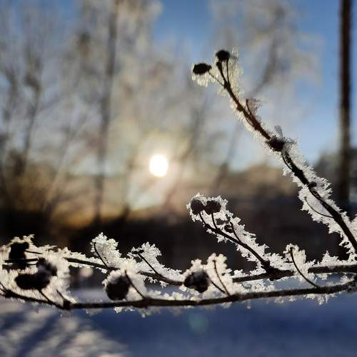 Photo #6279312