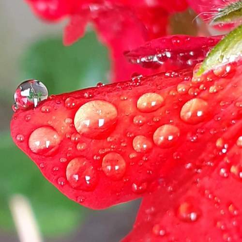 Photo #6279500