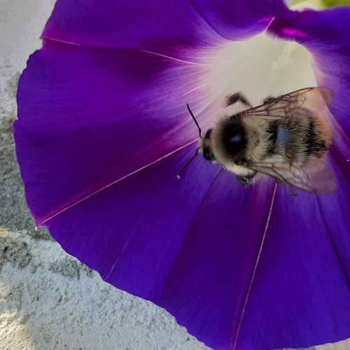 Photo #6279505