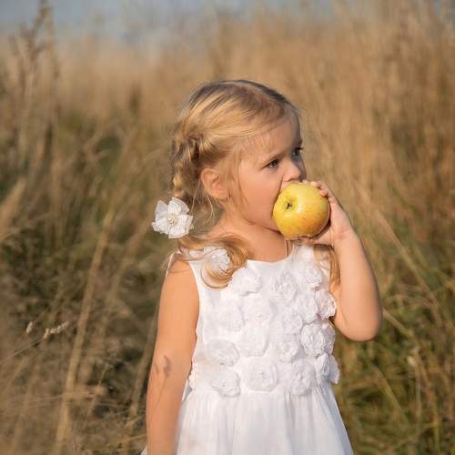 Photo #6279704