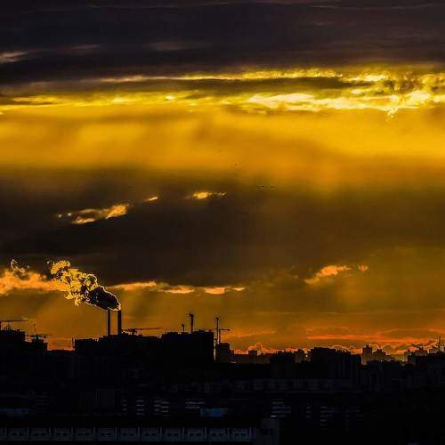 Photo #6279824