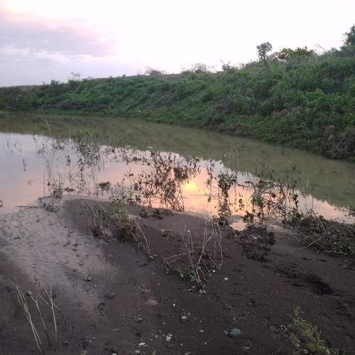 Photo #6279978