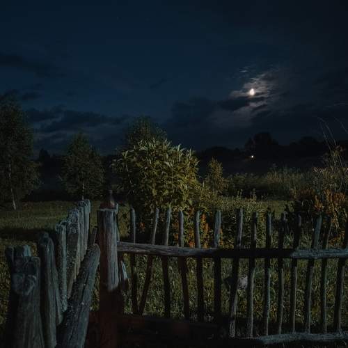 Photo #6280041