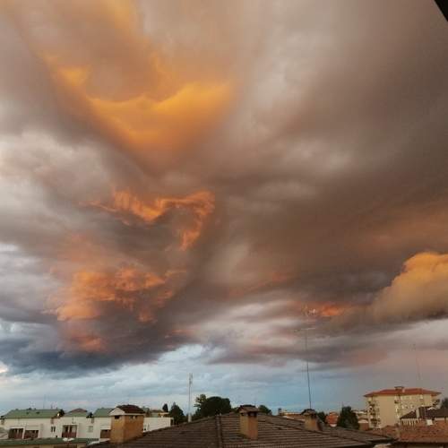 Photo #6281501