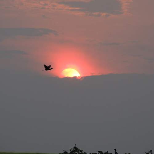 Photo #6281598