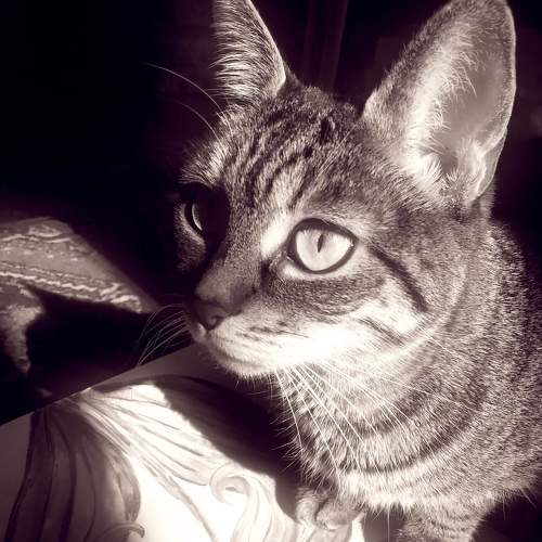 Photo #6281768