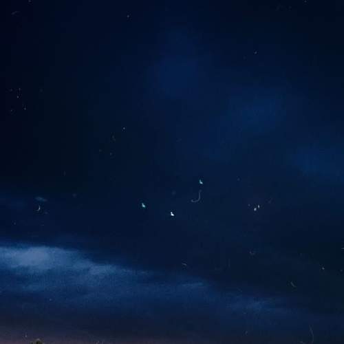 Photo #6281803