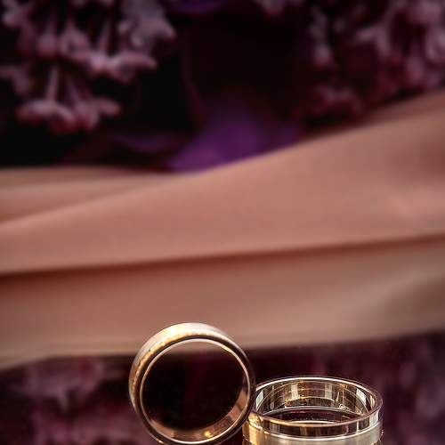 Photo #6282199