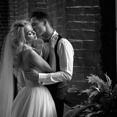 Photo #6282200