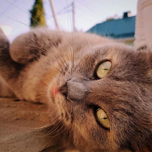 Photo #6282304