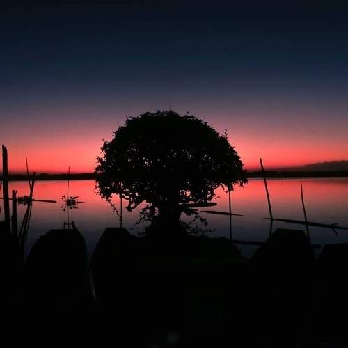 Photo #6282473