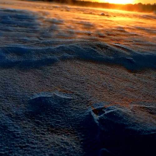 Photo #6282790