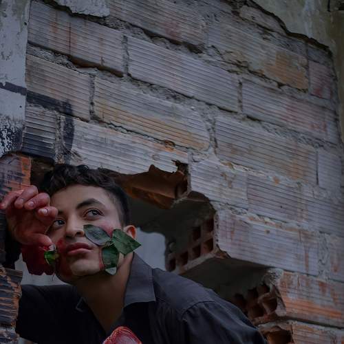 Photo #6282817