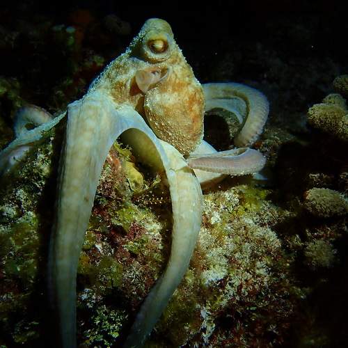 Photo #6282846