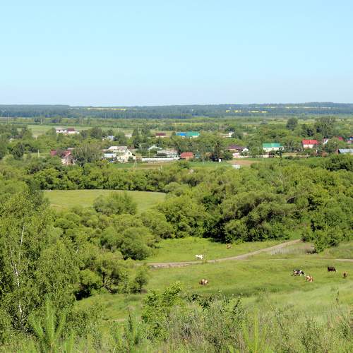 деревенская жизнь