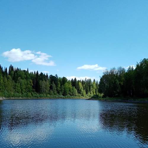 Photo #6282942
