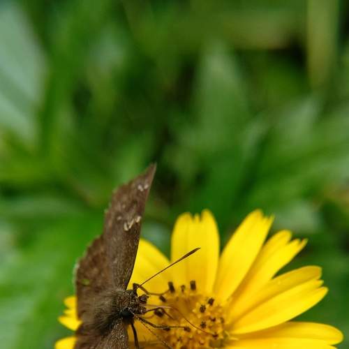 Photo #6282981