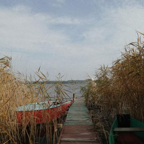 Photo #6283028