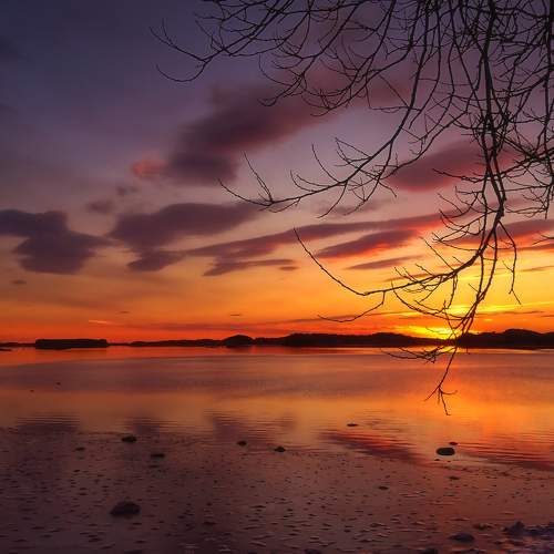 Photo #6283091