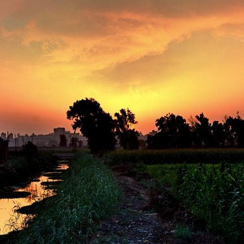 Photo #6283380