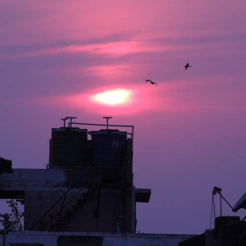 Photo #6283431