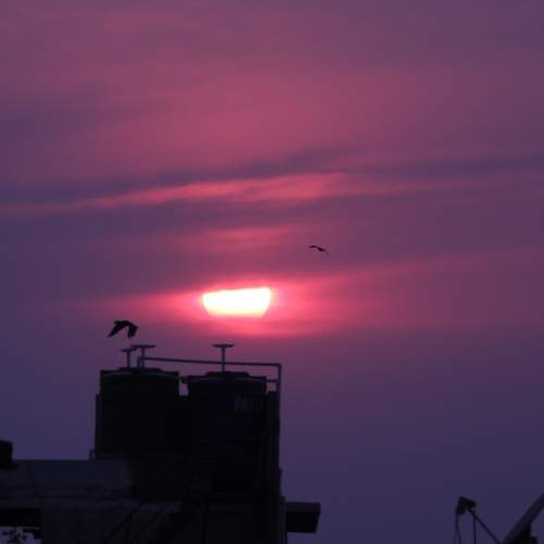 Photo #6283553