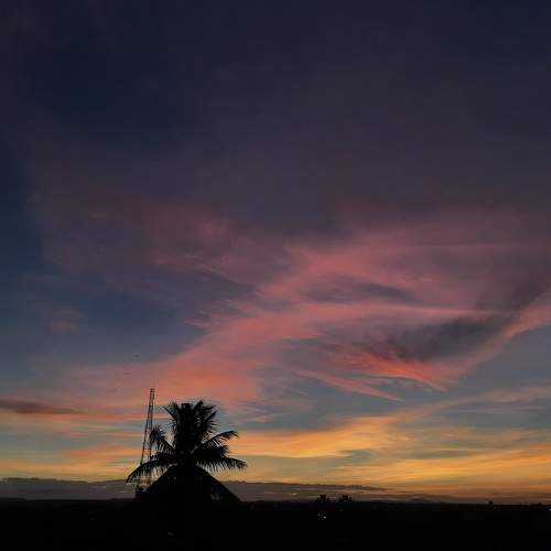 Photo #6283598