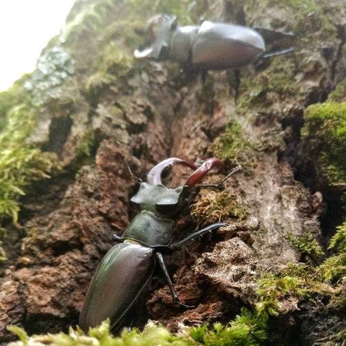 Photo #6283716