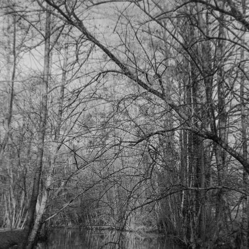 Photo #6283873